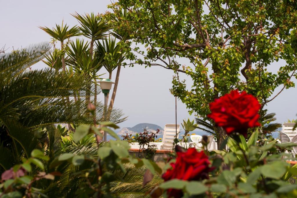 Villa Ersilia Ponza Exteriör bild